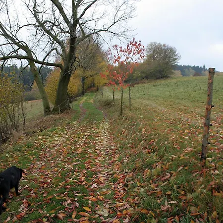 Πανσιόν Javorice