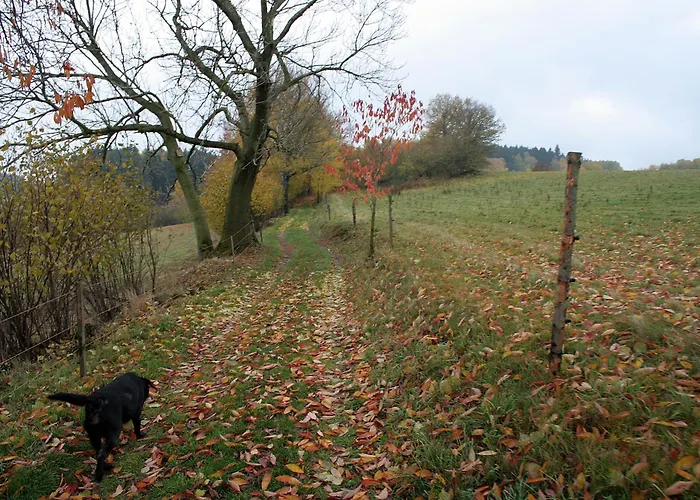 Gasthuis Javorice